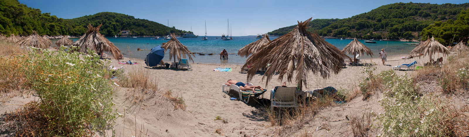 MLJET49 SAPLUNARA PANORAMA